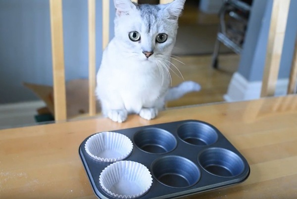 焼く
