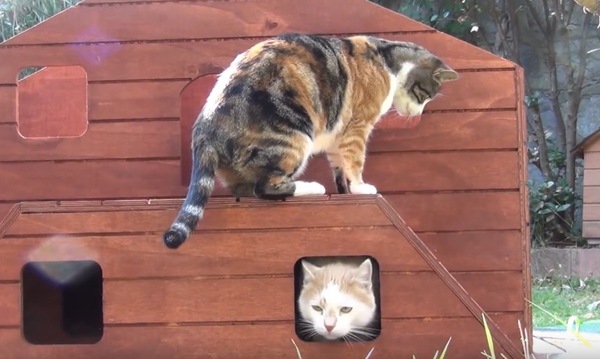 テスト