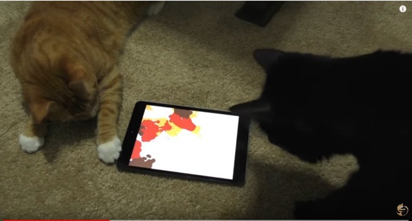 ２匹の猫とiPad