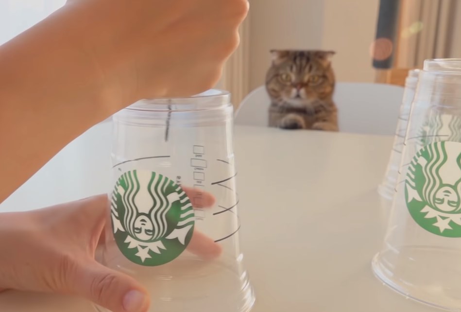カップに穴をあける
