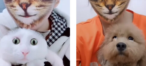 ちゃんとダイエットやってますよ 片足だけでルームランナーを使う ぽっちゃり猫ちゃん 笑 もふたん