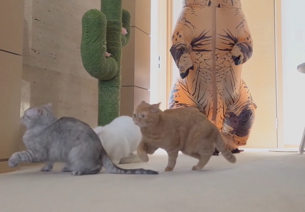 恐竜に追われる猫