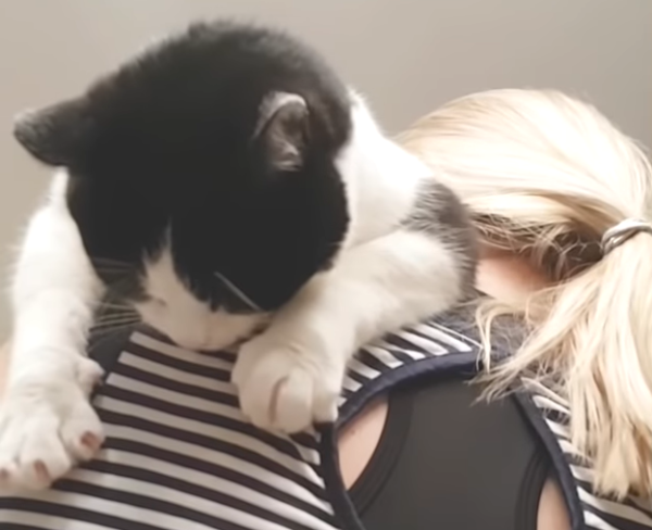 ママの肩の上でリラックスする猫