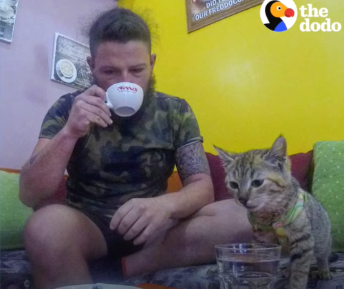 旅は道連れ世は情け 旅をしていた男性の前に現れた子猫ちゃんは 彼にとってかけがえのないパートナーになったのである もふたん