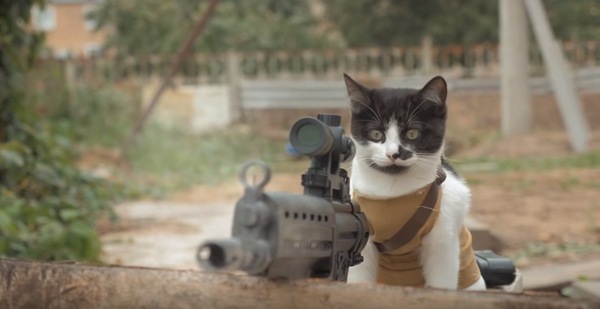 援護射撃をした猫