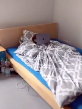 ベッドの上にいる猫