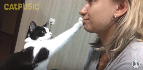 口に手を伸ばす猫