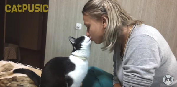 キスしている猫
