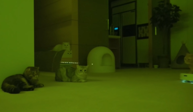 【猫UFOに乗った猫星人】ロボット掃除機に乗った猫はまさに未知との遭遇 | もふたん