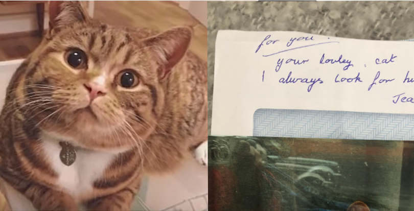 愛猫に届いた手紙