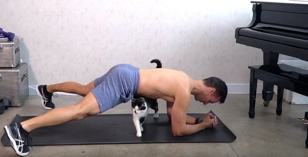 猫と一緒に腕立て伏せ