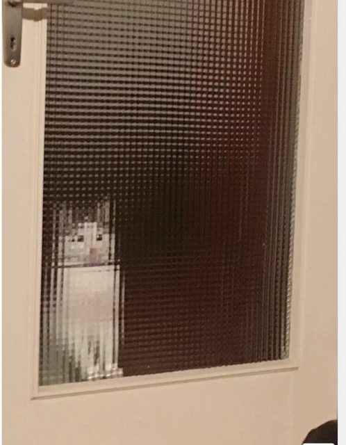 ドアを開けて欲しい猫