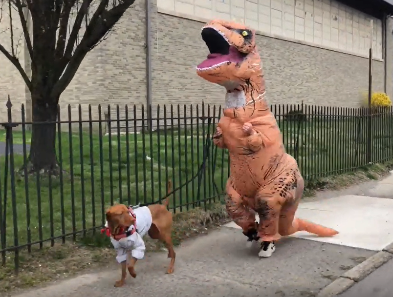 ティラノサウルスと犬
