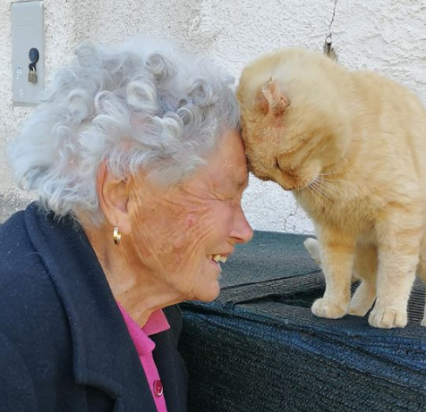 地震で離れ離れになった おばあちゃんと猫 ４年の月日を超えて感動の再会 もふたん
