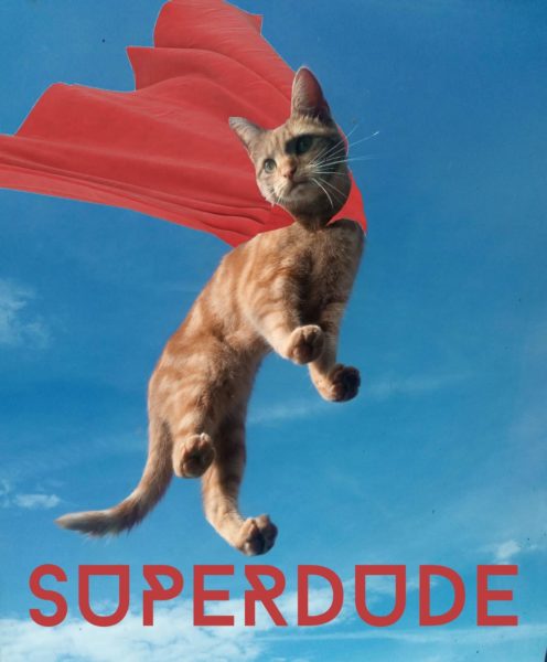 スーパーマン猫