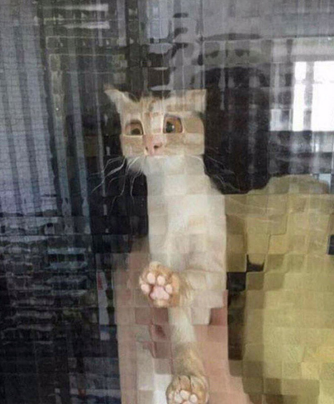 悲しそうな顔のピクセル猫