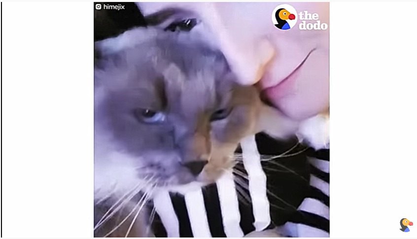 猫を愛する女性
