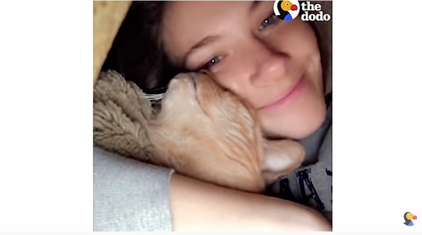 猫に頬ずりする女性