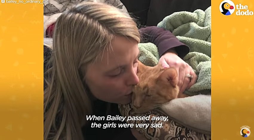 猫にキスする女性