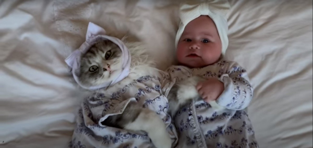 双子コーデ似合うかニャ メインクーン猫と赤ちゃんのオシャレカップルに密着 もふたん