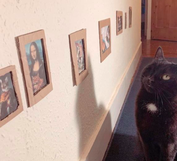 美術館ごっこをする猫