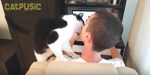 キスをする猫