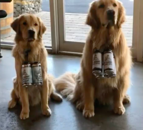 ビールを運ぶ犬