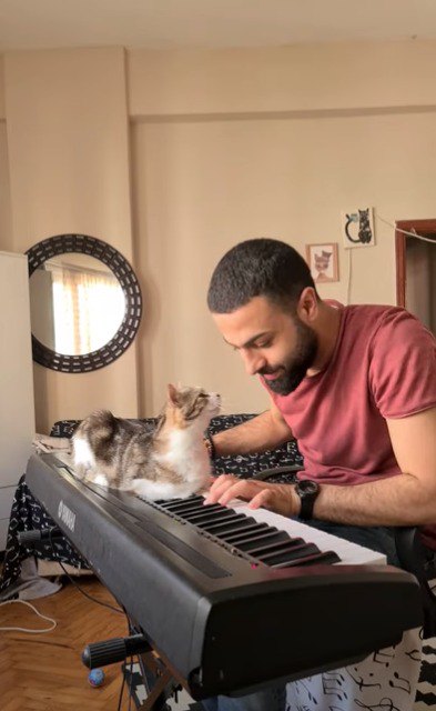 ピアノの音色を聞いてうっとりする猫