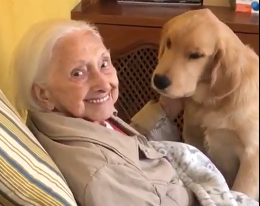 100歳のおばあちゃんと犬