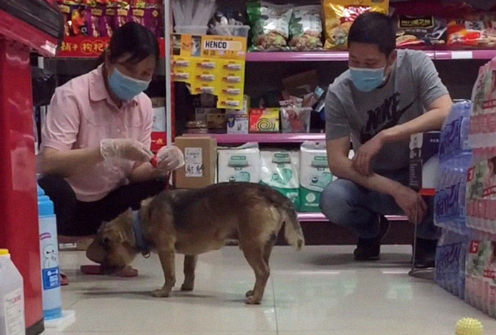 売店の女性と犬