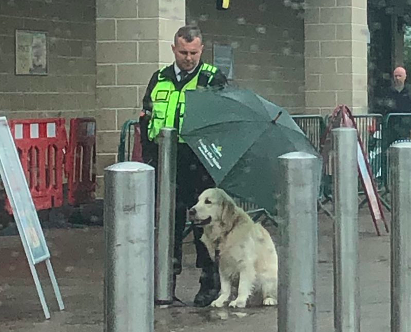犬に傘を差し出す警備員さん
