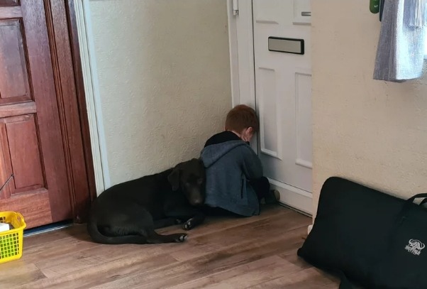 叱られて落ち込む少年に寄り添い一緒に反省する わんこ の優しさに感動 もふたん