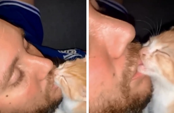 お父さん大好き 保護された 子猫 はお父さんの唇を チュウチュウ しておねんねの幸せ もふたん