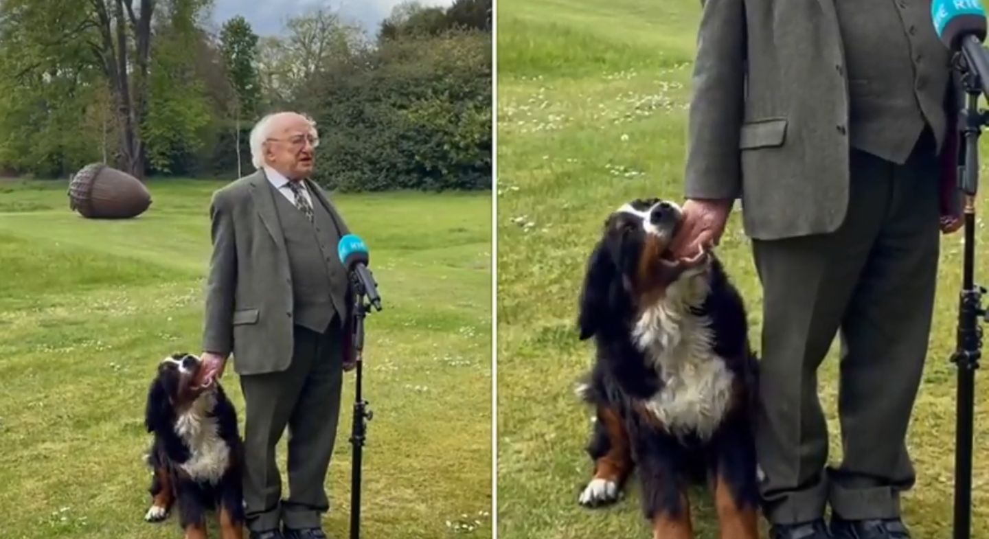 可愛いハプニング 会見中の大統領にじゃれる子犬さんが話題 もふたん