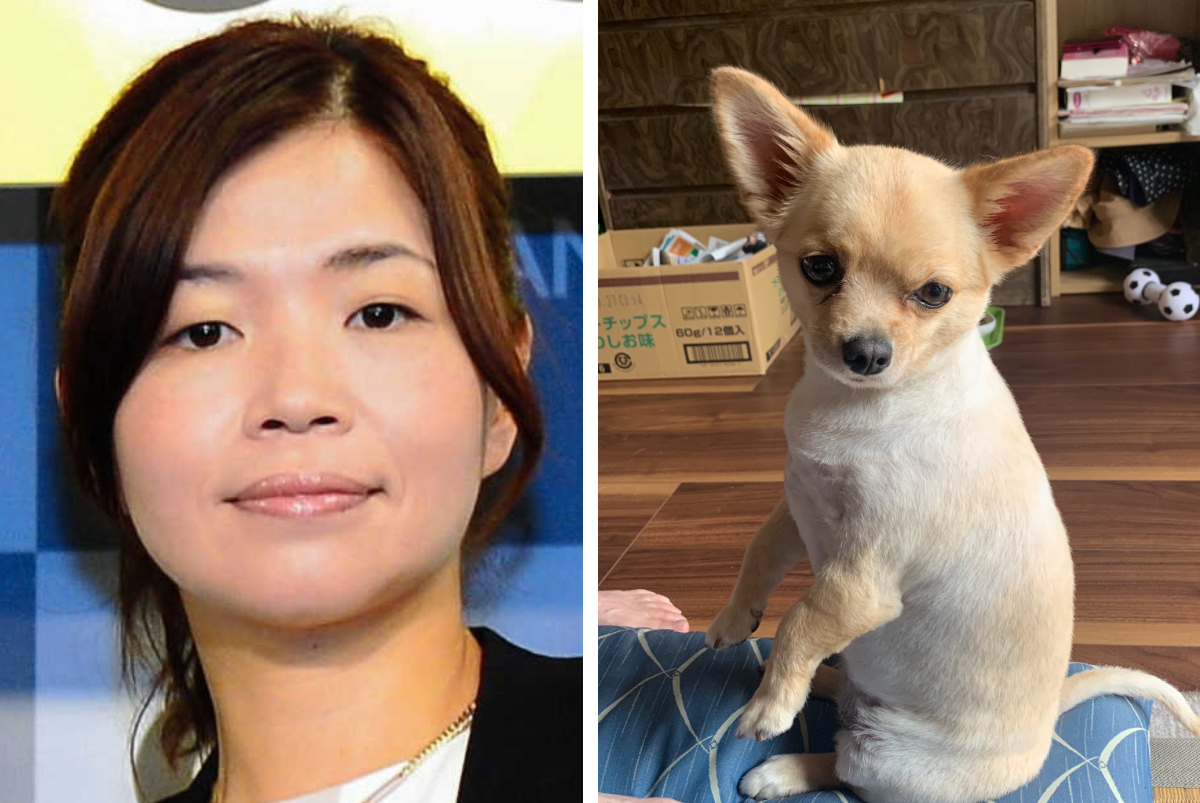 大久保佳代子さん の実家のワンちゃんがサマーカットで大胆にイメチェン もふたん 大久保佳代子さん の実家のワンちゃんがサマーカットで大胆にイメチェン もふたん