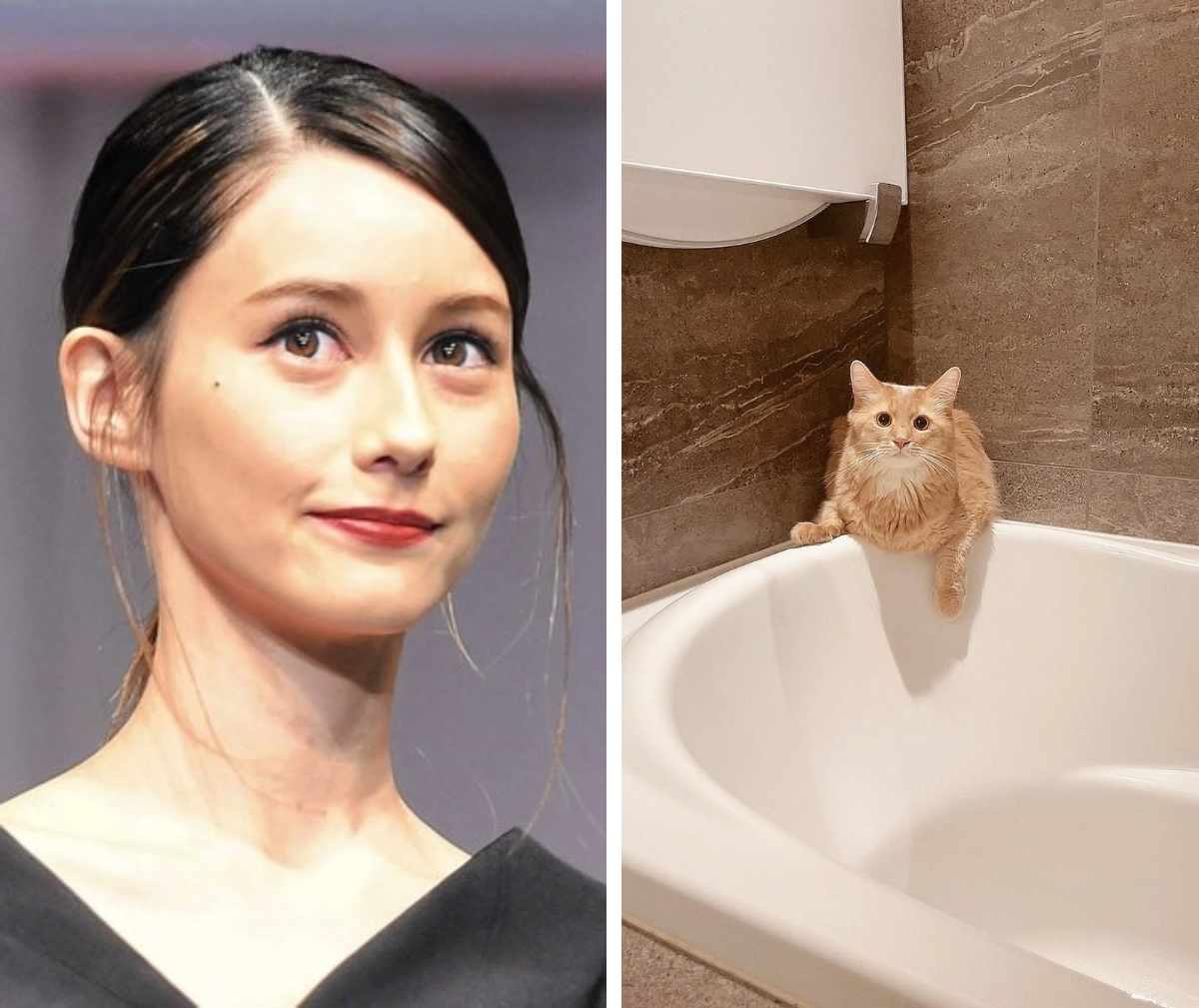 ダレノガレ明美さんの お風呂を必ず覗きにくる 猫ちゃんがかわいいと話題 もふたん