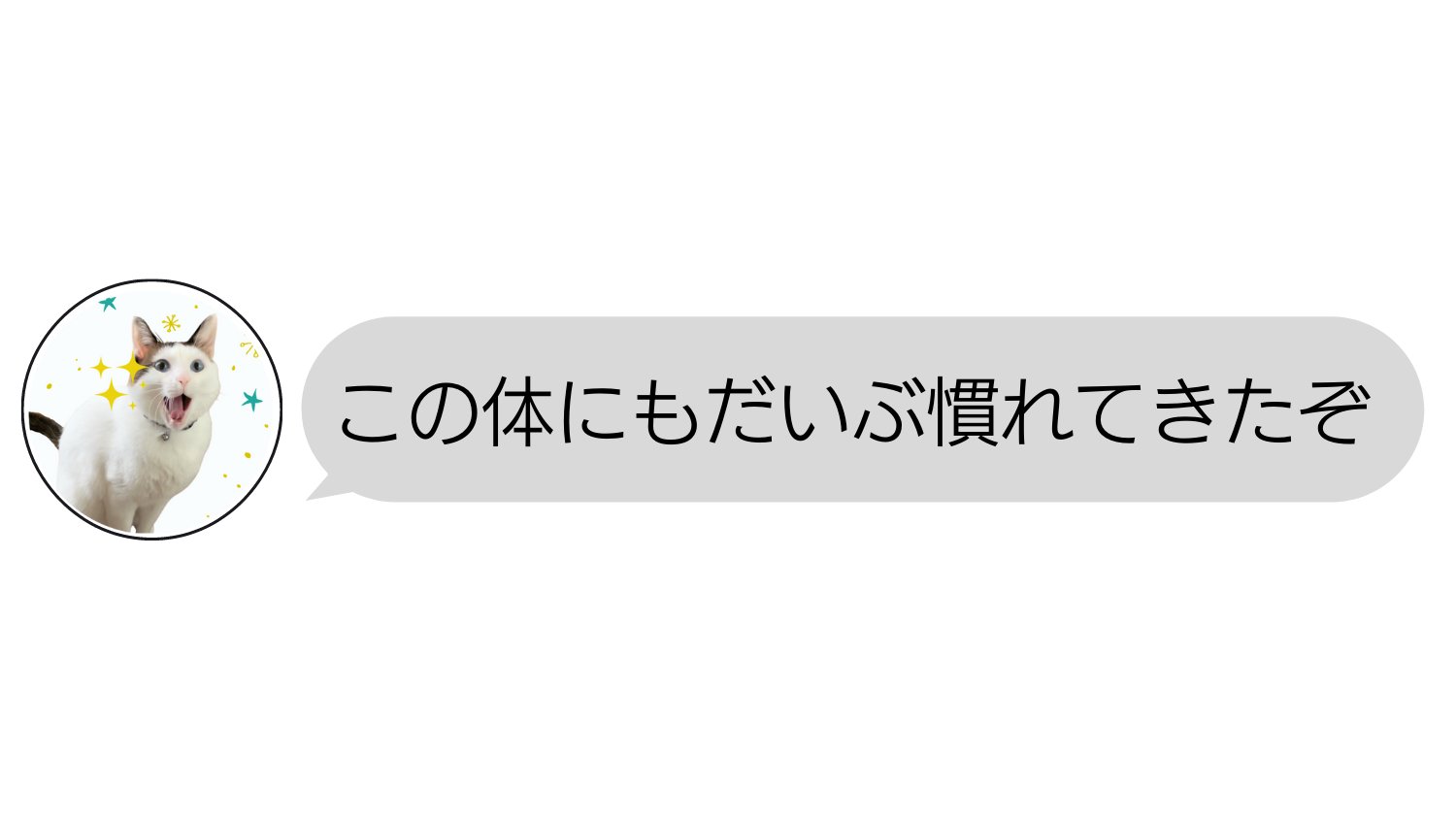 翻訳しなければ気づかずに済んだのに 猫語翻訳アプリを使ったら衝撃の結果に もふたん