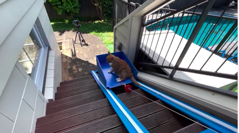 歳の愛猫のために手作りした 楽ちん階段昇降機 がネット上で話題に もふたん