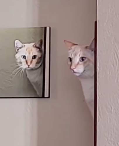 猫の絵画の隣に猫
