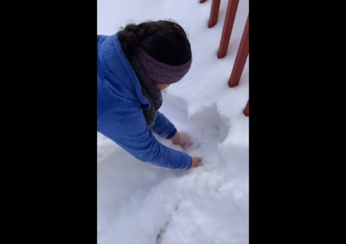 雪を掘る飼い主
