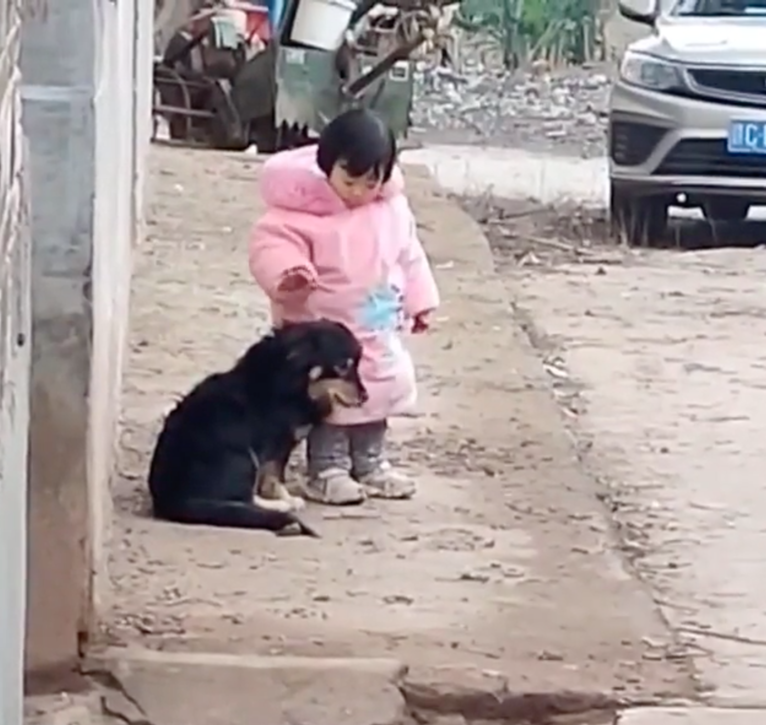 犬の頭を撫でようとしている少女