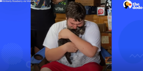 猫を抱きしめて泣く男性