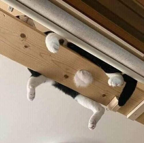 見られてますよ