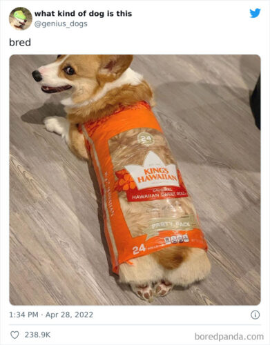 美味しいパン