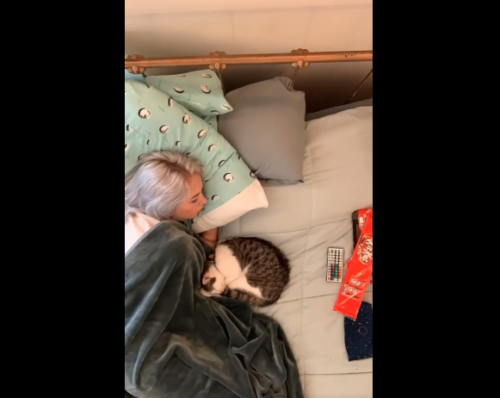 寝ている女性と猫