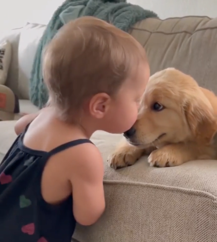 子犬にキスする赤ちゃん