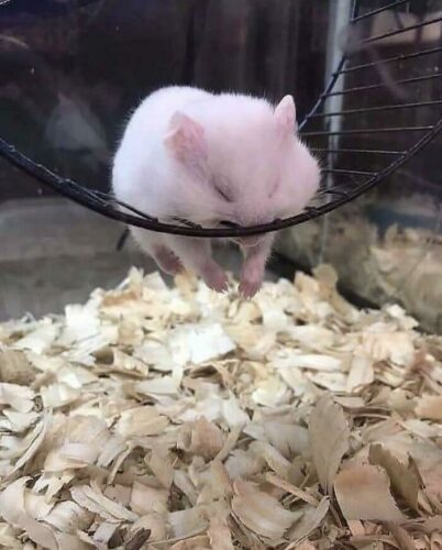 お疲れ様