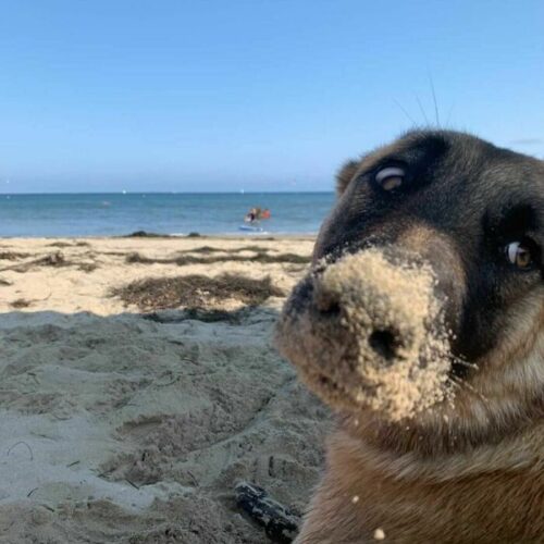 ばれちゃった?