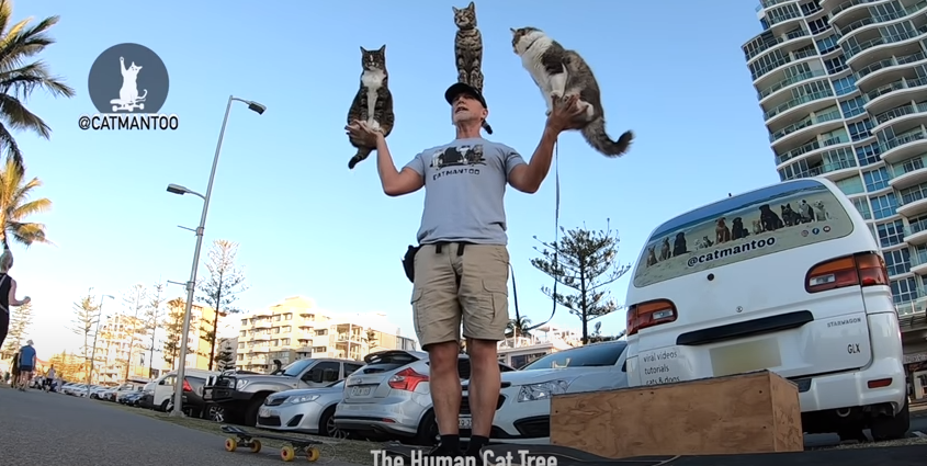 猫3匹を乗せた男性