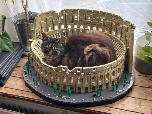 ローマ帝国は猫に滅ぼされたのですー新説